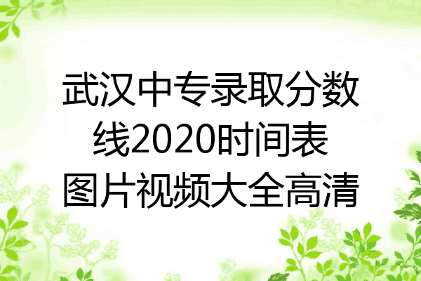 武汉中专录取分数线2020时间表图片视频大全高清