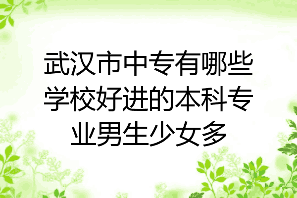 武汉市中专有哪些学校好进的本科专业男生少女多