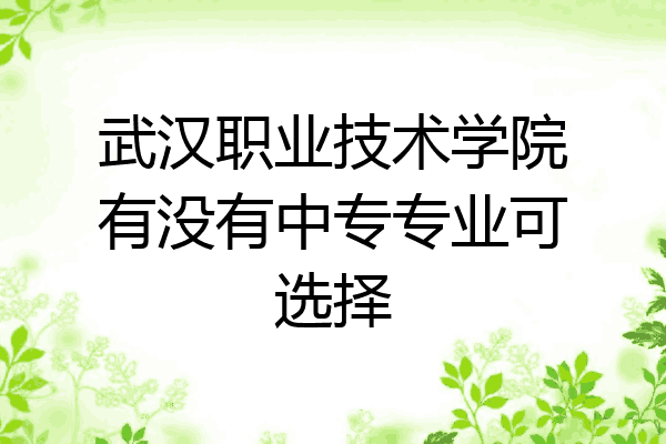 武汉职业技术学院有没有中专专业可选择