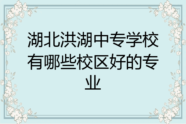 湖北洪湖中专学校有哪些校区好的专业