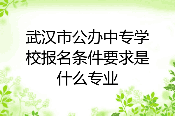 武汉市公办中专学校报名条件要求是什么专业