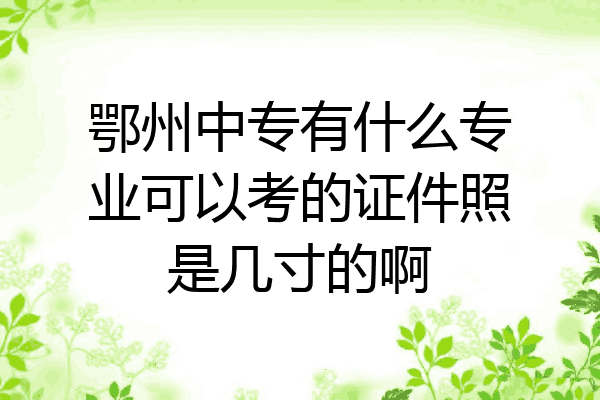 鄂州中专有什么专业可以考的证件照是几寸的啊