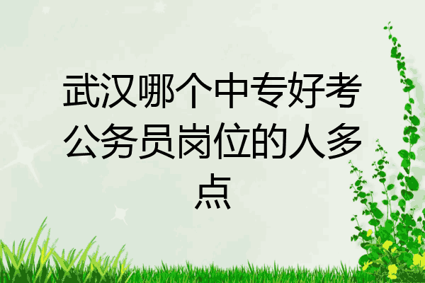 武汉哪个中专好考公务员岗位的人多点