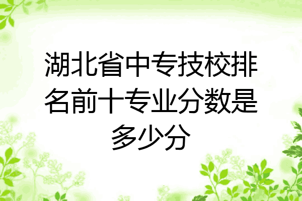 湖北省中专技校排名前十专业分数是多少分