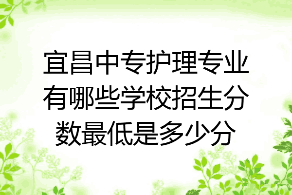 宜昌中专护理专业有哪些学校招生分数最低是多少分