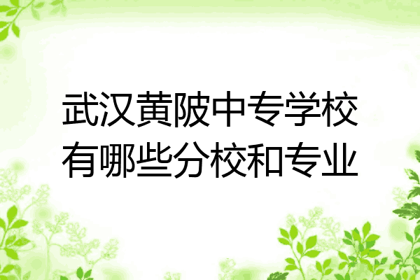 武汉黄陂中专学校有哪些分校和专业