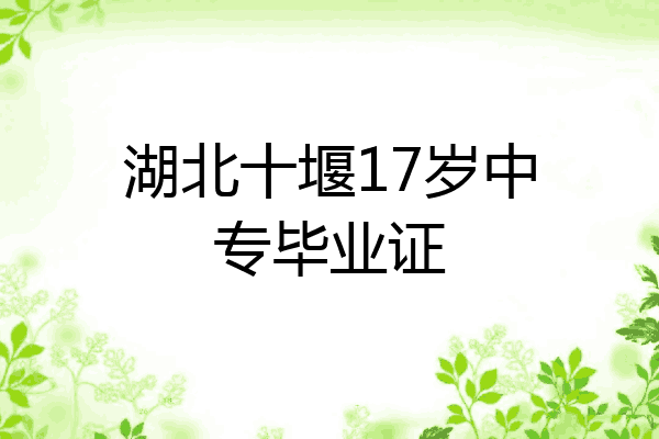 湖北十堰17岁中专毕业证