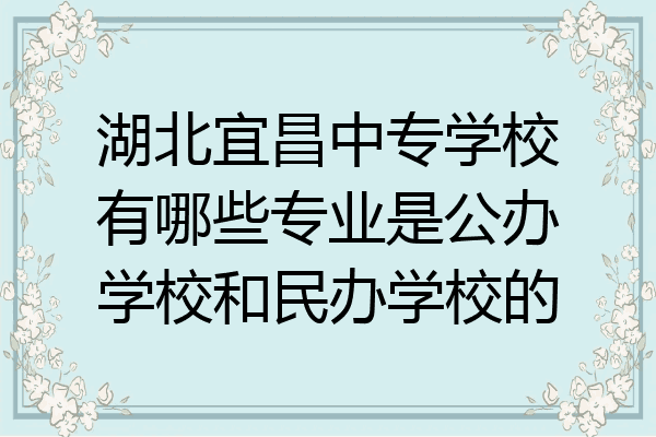 湖北宜昌中专学校有哪些专业是公办学校和民办学校的
