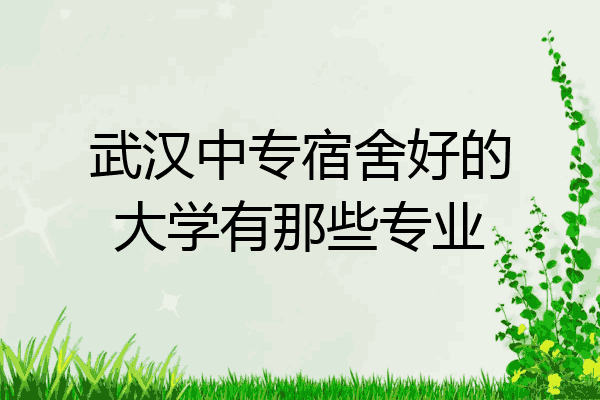 武汉中专宿舍好的大学有那些专业