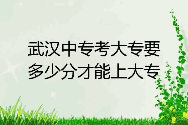 武汉中专考大专要多少分才能上大专