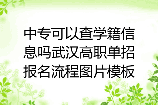 中专可以查学籍信息吗武汉高职单招报名流程图片模板