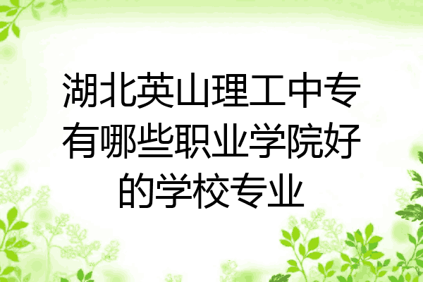 湖北英山理工中专有哪些职业学院好的学校专业