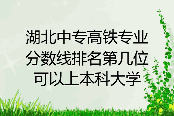 湖北中专高铁专业分数线排名第几位可以上本科大学