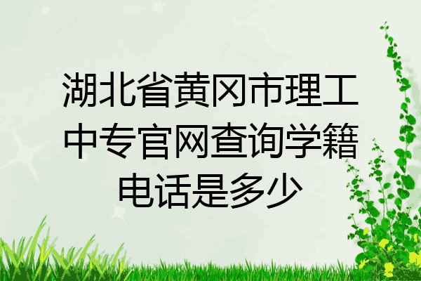 湖北省黄冈市理工中专官网查询学籍电话是多少