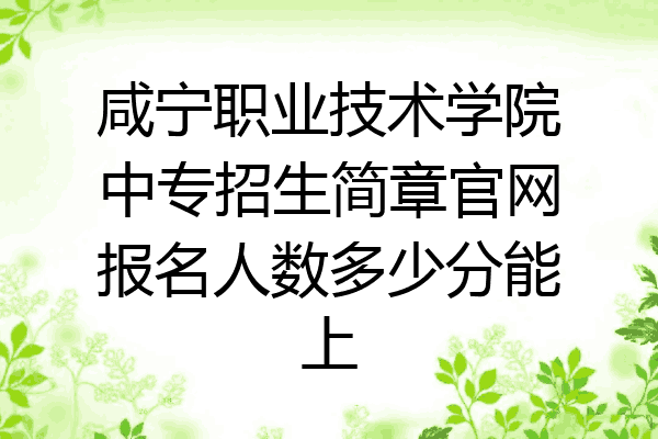 咸宁职业技术学院中专招生简章官网报名人数多少分能上