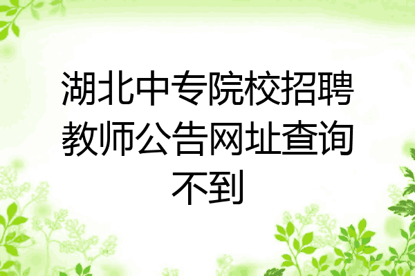 湖北中专院校招聘教师公告网址查询不到