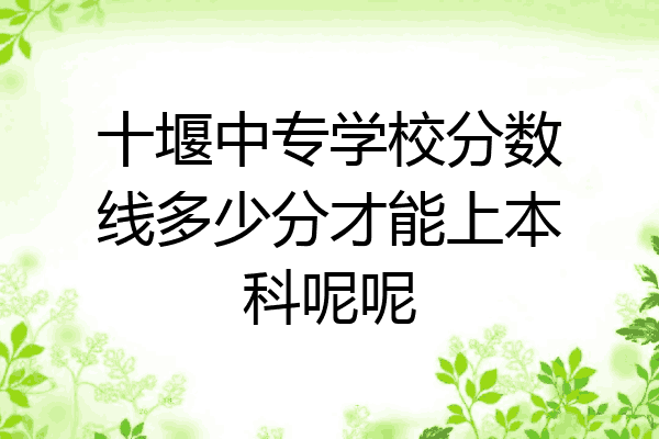 十堰中专学校分数线多少分才能上本科呢呢