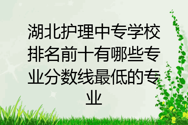 湖北护理中专学校排名前十有哪些专业分数线最低的专业