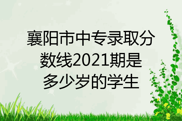 襄阳市中专录取分数线2021期是多少岁的学生