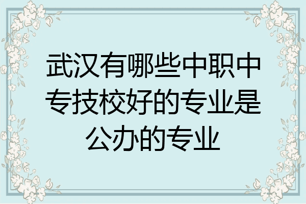 武汉有哪些中职中专技校好的专业是公办的专业