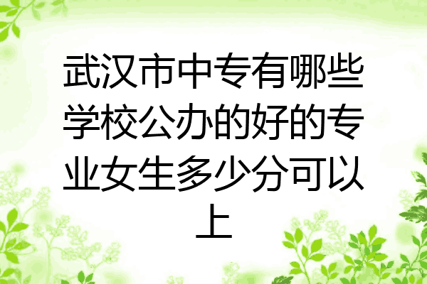 武汉市中专有哪些学校公办的好的专业女生多少分可以上
