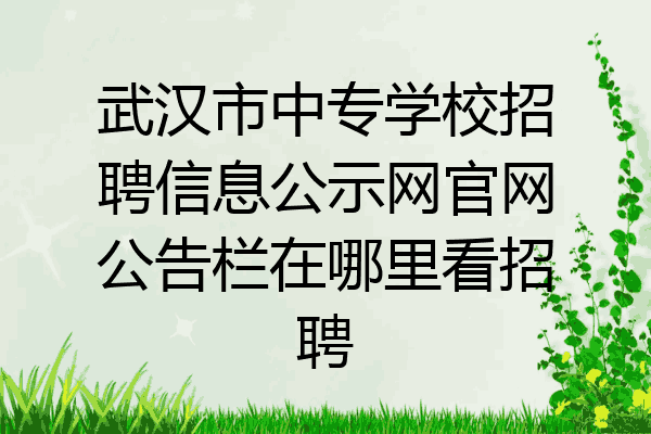 武汉市中专学校招聘信息公示网官网公告栏在哪里看招聘