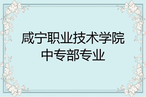 咸宁职业技术学院中专部专业