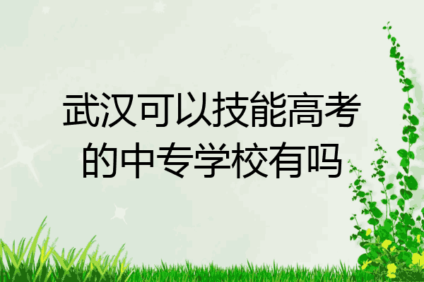 武汉可以技能高考的中专学校有吗