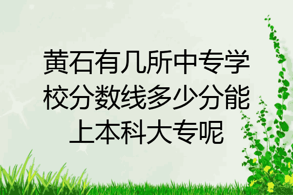 黄石有几所中专学校分数线多少分能上本科大专呢