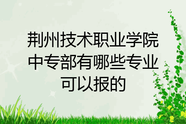荆州技术职业学院中专部有哪些专业可以报的
