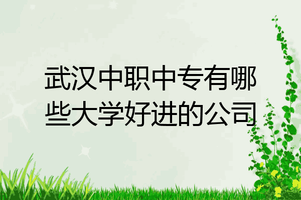 武汉中职中专有哪些大学好进的公司