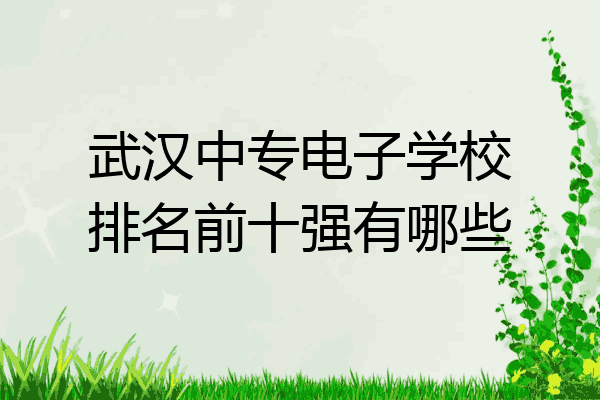 武汉中专电子学校排名前十强有哪些