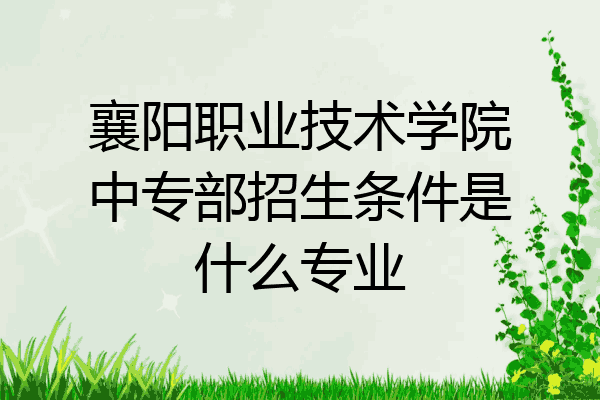 襄阳职业技术学院中专部招生条件是什么专业