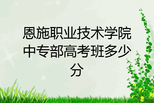 恩施职业技术学院中专部高考班多少分