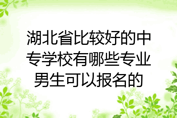 湖北省比较好的中专学校有哪些专业男生可以报名的