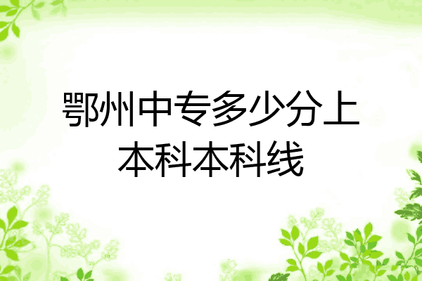鄂州中专多少分上本科本科线
