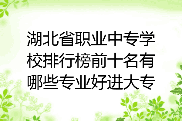 湖北省职业中专学校排行榜前十名有哪些专业好进大专