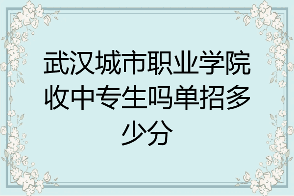 武汉城市职业学院收中专生吗单招多少分
