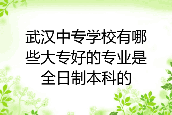 武汉中专学校有哪些大专好的专业是全日制本科的