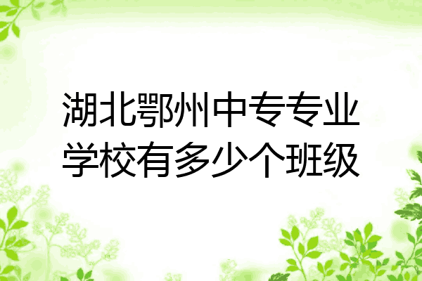 湖北鄂州中专专业学校有多少个班级