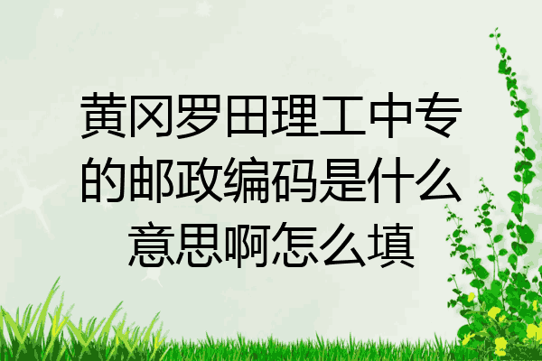 黄冈罗田理工中专的邮政编码是什么意思啊怎么填