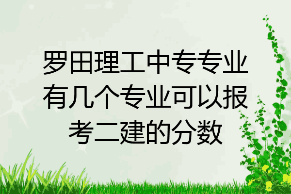 罗田理工中专专业有几个专业可以报考二建的分数
