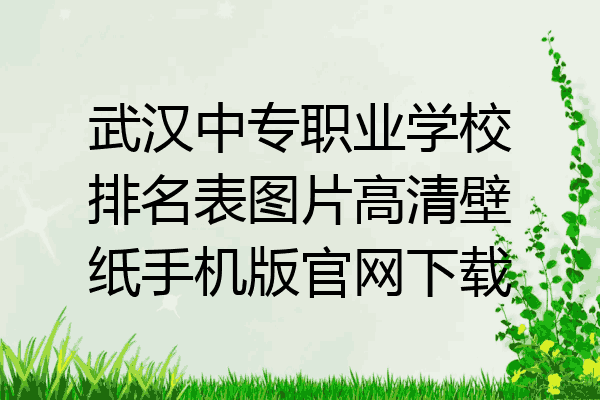 武汉中专职业学校排名表图片高清壁纸手机版官网下载