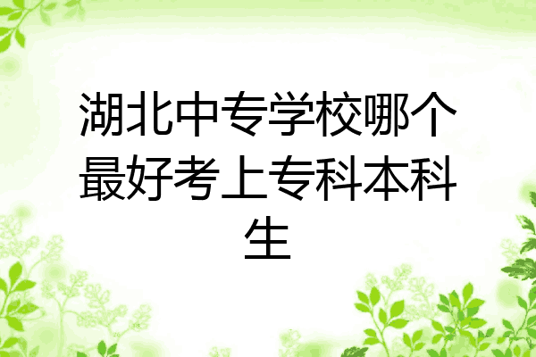湖北中专学校哪个最好考上专科本科生