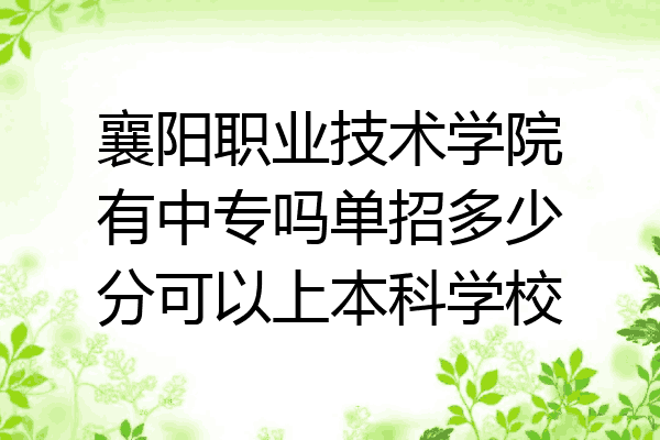 襄阳职业技术学院有中专吗单招多少分可以上本科学校