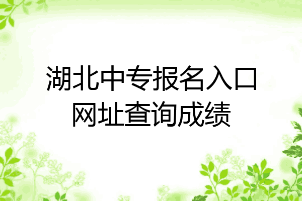 湖北中专报名入口网址查询成绩