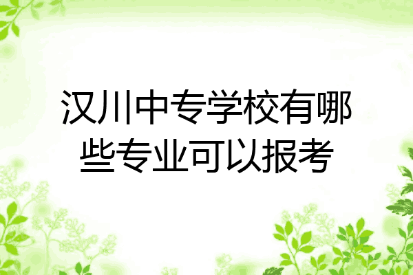 汉川中专学校有哪些专业可以报考