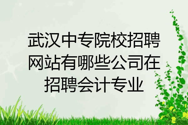 武汉中专院校招聘网站有哪些公司在招聘会计专业