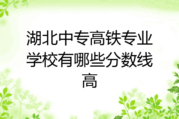 湖北中专高铁专业学校有哪些分数线高