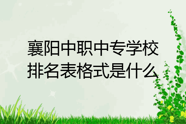 襄阳中职中专学校排名表格式是什么